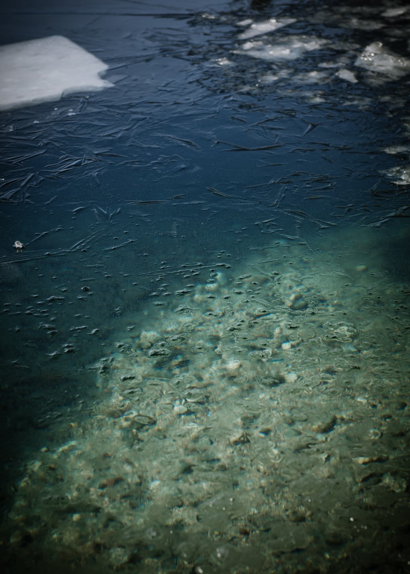 Story on South African freediver Amber Fillary trying to break the Guinness world record on March 21st, 2019, for diving 60 m under solid ice in nothing but a bikini.