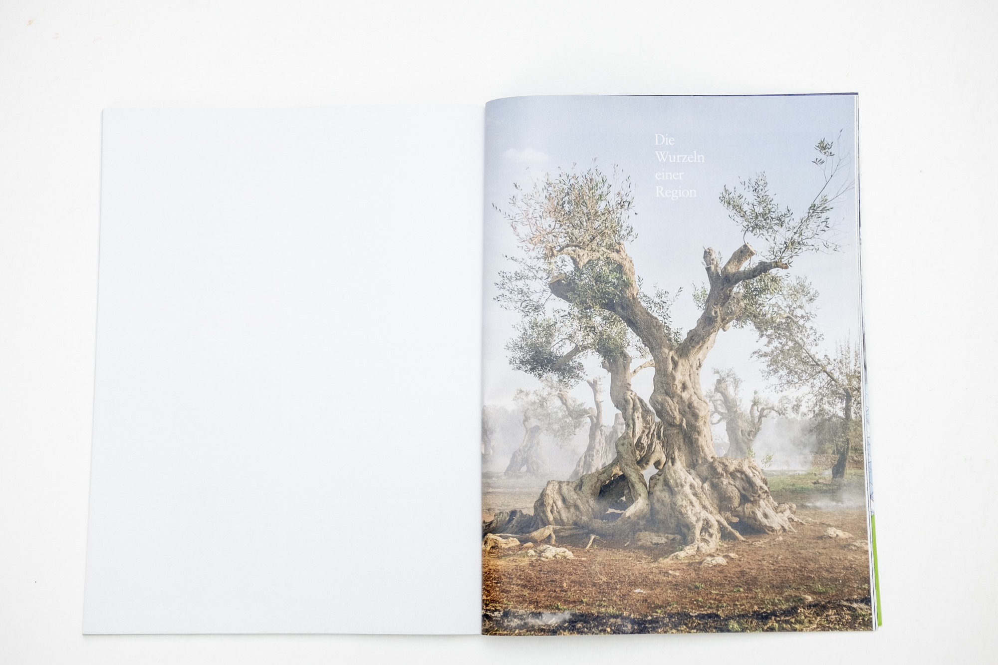 Magazine spread of publication "My father is in these trees" in brand eins magazine 06/2018