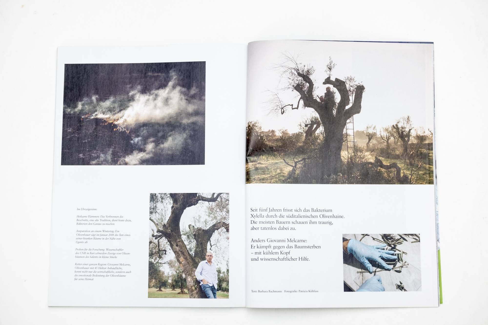 Magazine spread of publication "My father is in these trees" in brand eins magazine 06/2018