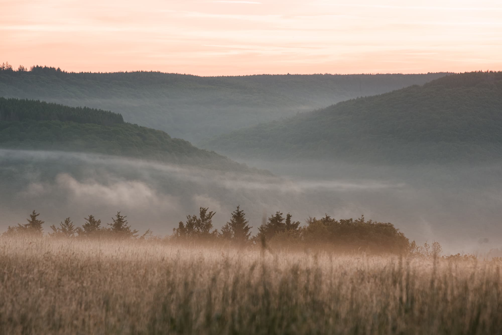 Documenting national park Eifel for the annual sustainability report of Wald und Holz NRW